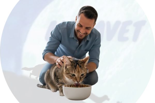 Alimento para Gato seco